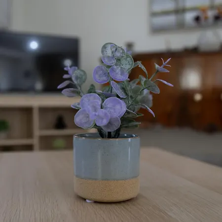 Poulakis House * Asíni